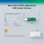 USB-стик Zigbee (CC2531)